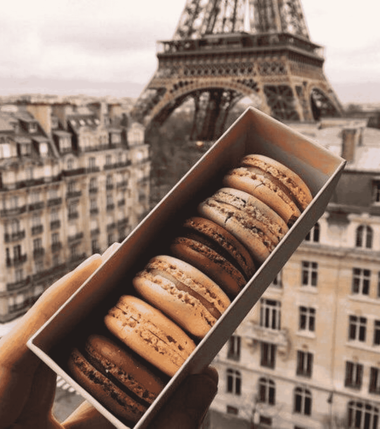 Macaron Pháp